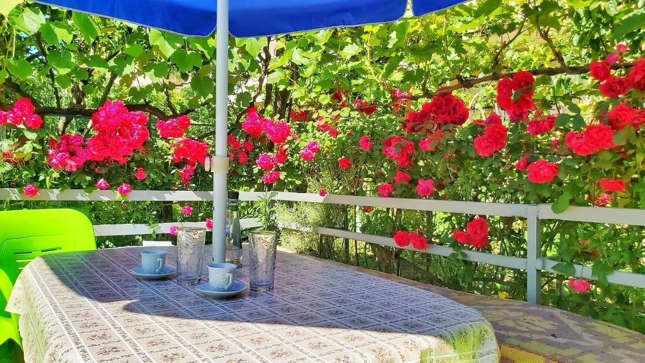 Guest House Pogradeci